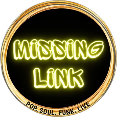 Missing Link Logo